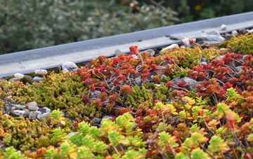the cost of Bughtlin green roof installation